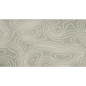 Tapete Tropical Rolo 65cm x 15m Abstrato Kapazi